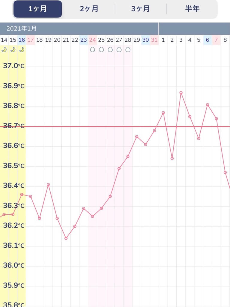 代妊活 基礎体温ってなに 測り方とグラフのご紹介 ぶちぶろぐ