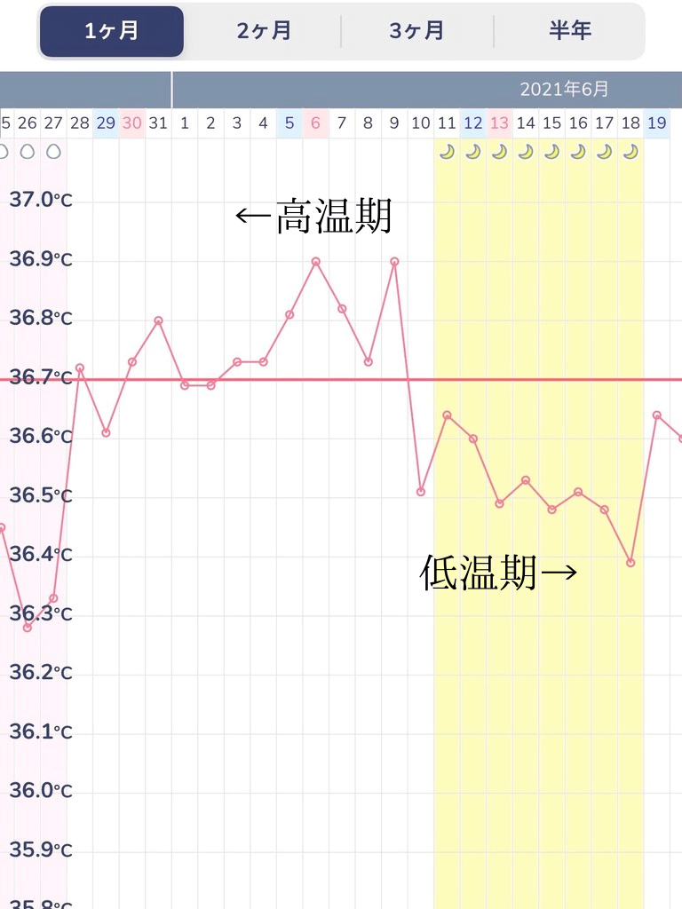 代妊活 高温期の身体を整える過ごし方とは ゆる主婦のラクする暮らし